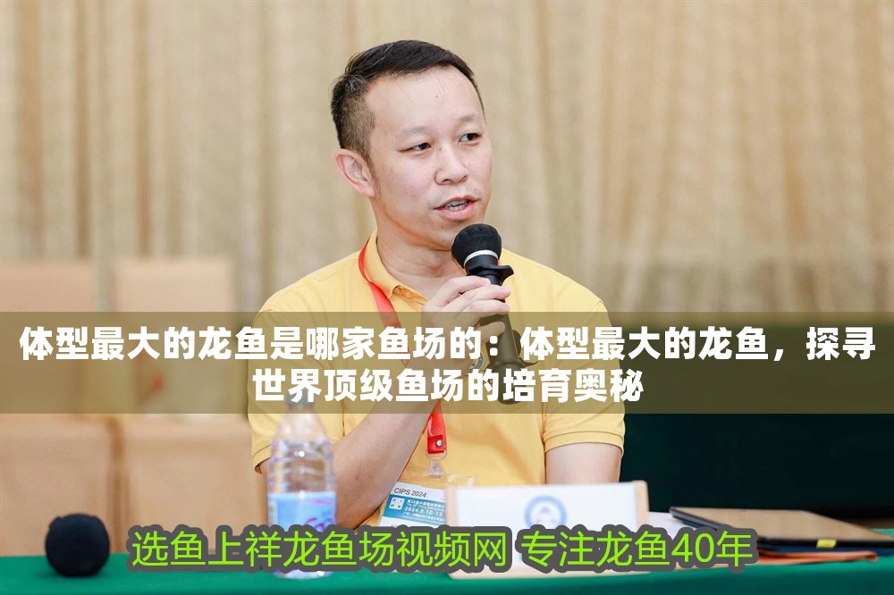 體型最大的龍魚是哪家魚場的：體型最大的龍魚，探尋世界頂級魚場的培育奧秘