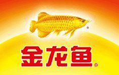 金龍魚客服官方電話