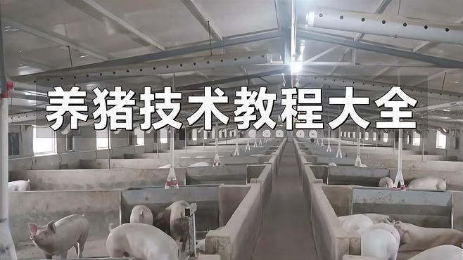 現代科學養殖技術有哪些？ 現代科學養殖技術有哪些？ 龍魚百科 第3張