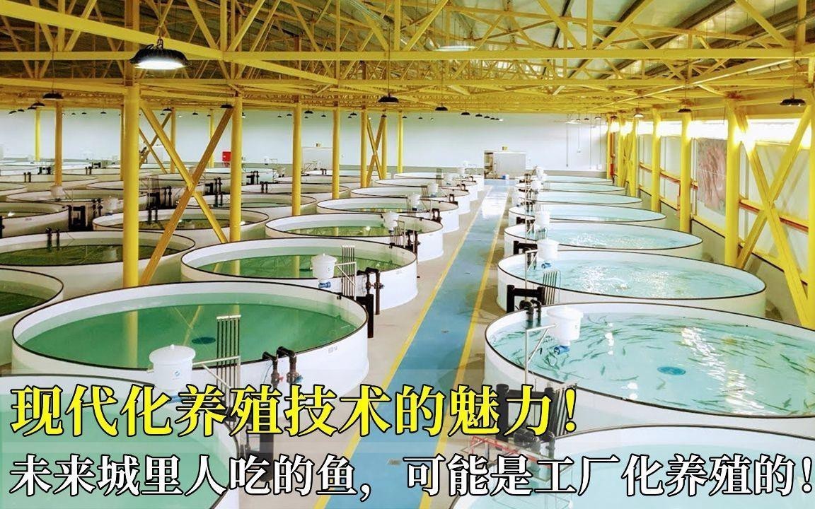 現代科學養殖技術有哪些？ 現代科學養殖技術有哪些？ 龍魚百科 第2張