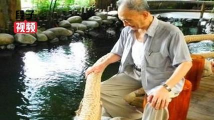 關于龍魚的紀錄片：關于龍魚的繁殖紀錄片在廣州龍魚批發市場網站上有提及