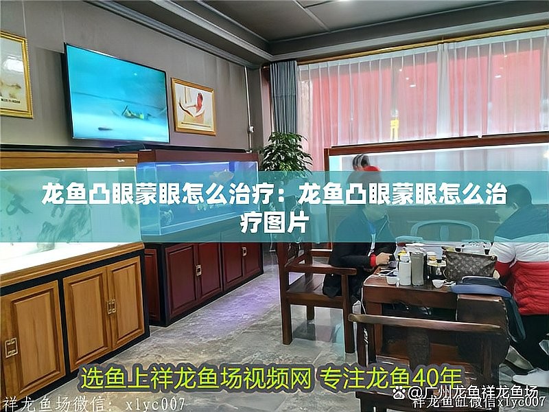 龍魚蒙眼病治療期間需要喂食嗎？