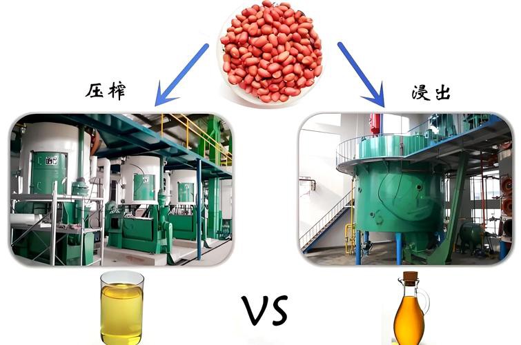 道道全和金龍魚哪個(gè)更環(huán)保？