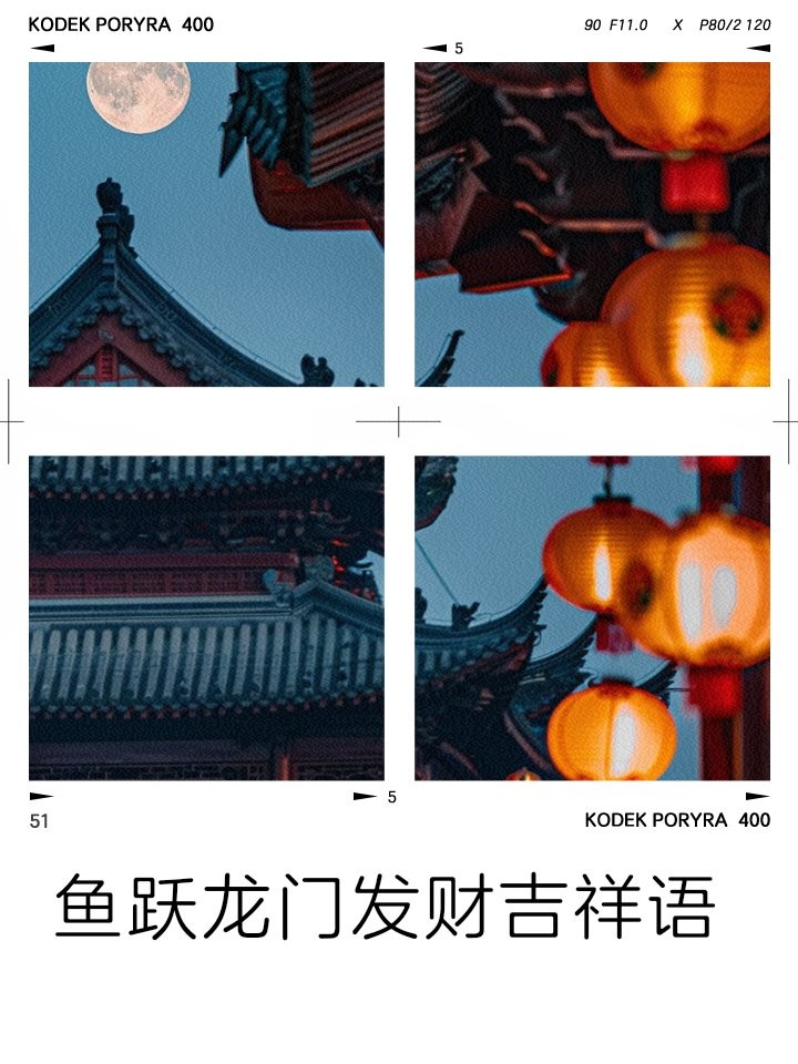 龍魚的吉祥語言怎么說