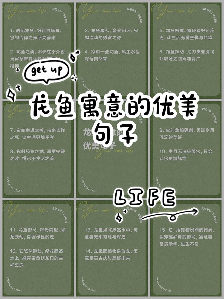 龍魚的吉祥語言怎么說