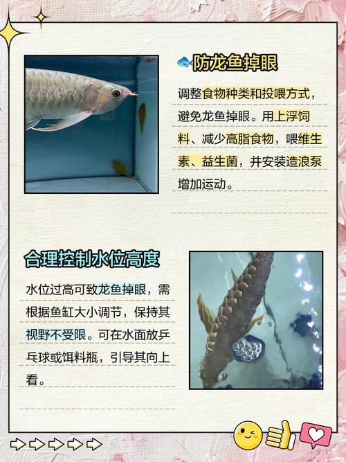 紅龍魚掉眼要怎么預防呢圖片