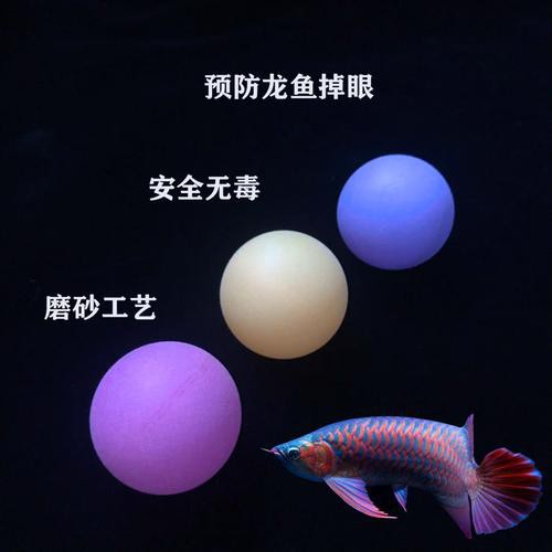 紅龍魚掉眼要怎么預防呢圖片