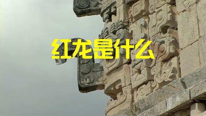 紅龍?jiān)凇都t龍》中的象征意義是什么？