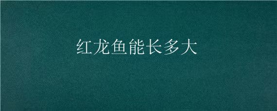 20厘米紅龍魚一年能長多大？（20公分的龍魚一年能長多大？）