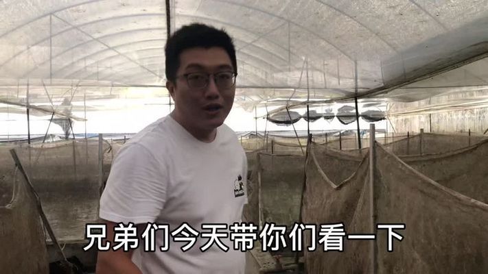 杭州金龍魚熱帶魚養殖基地在哪里啊最近（杭州金龍魚熱帶魚養殖基地位于杭州市蕭山區臨浦街道）