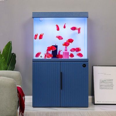 龍魚閣魚缸和愛客哪個(gè)好用，龍魚閣魚缸和愛客魚缸哪個(gè)好