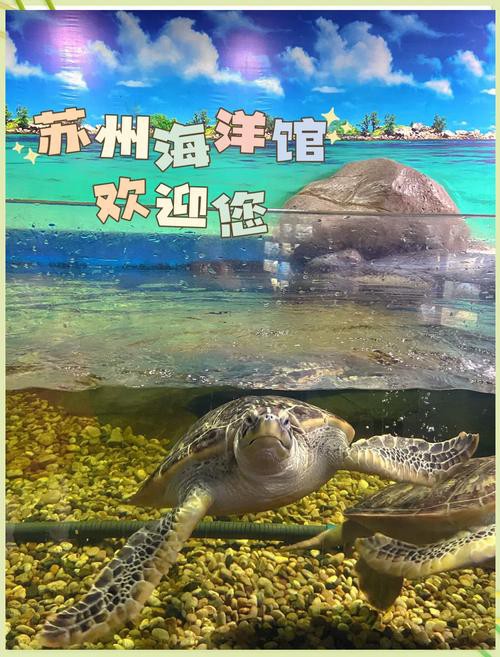 蘇州龍魚水族館在哪里