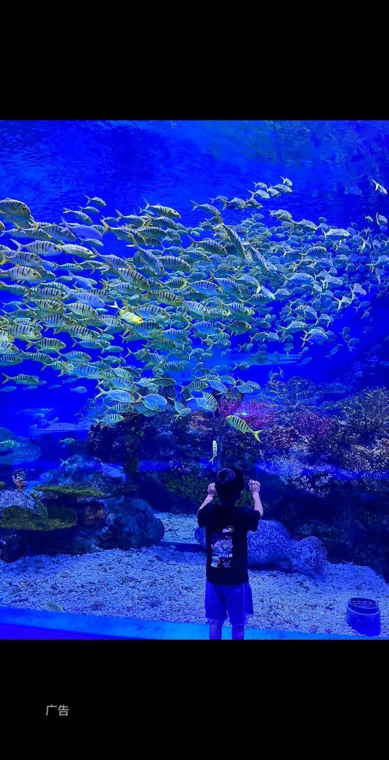 蘇州龍魚水族館在哪里