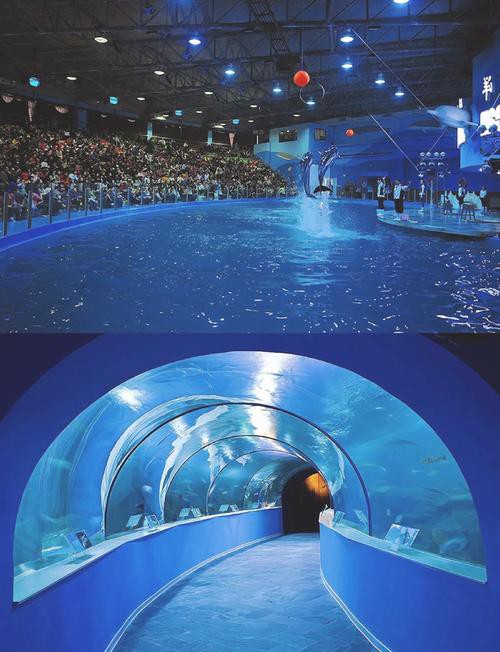 蘇州龍魚水族館在哪里
