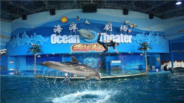 蘇州龍魚水族館在哪里