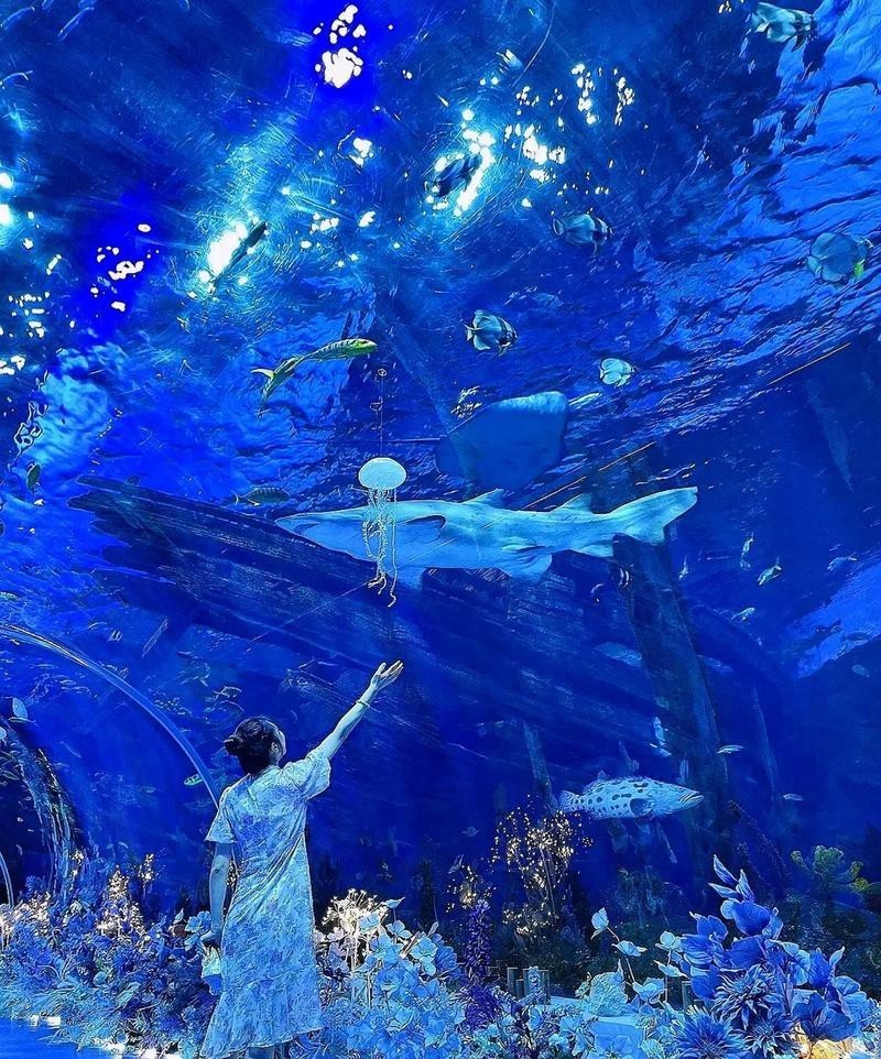 蘇州龍魚水族館在哪里