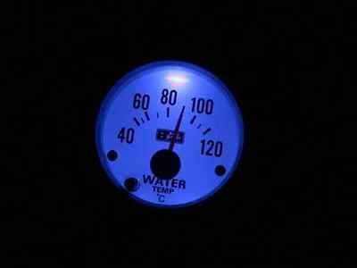 龍魚31度水溫（31度水溫下龍魚的養殖環境、飼料選擇、日常管理等要點）