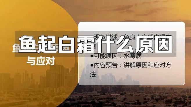 金龍魚身上有白色絮狀物下過藥生過溫,為什么弄不掉