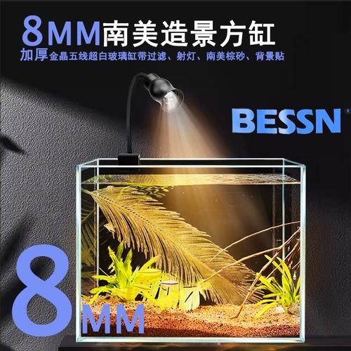 雷龍魚魚缸