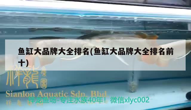 金龍魚混養視頻大全集最新版下載：金龍魚混養視頻大全集最新版下載免費