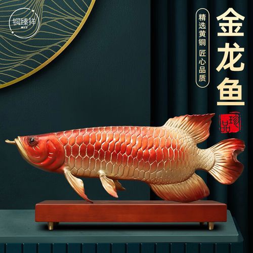 如何判斷金龍魚擺件是否需要清潔？