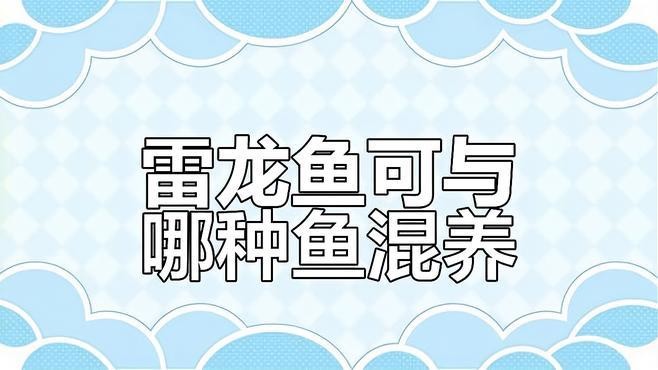 雷龍魚適合與哪些魚類混養？