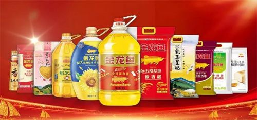 金龍魚介紹圖：關于金龍魚的一些詳細介紹