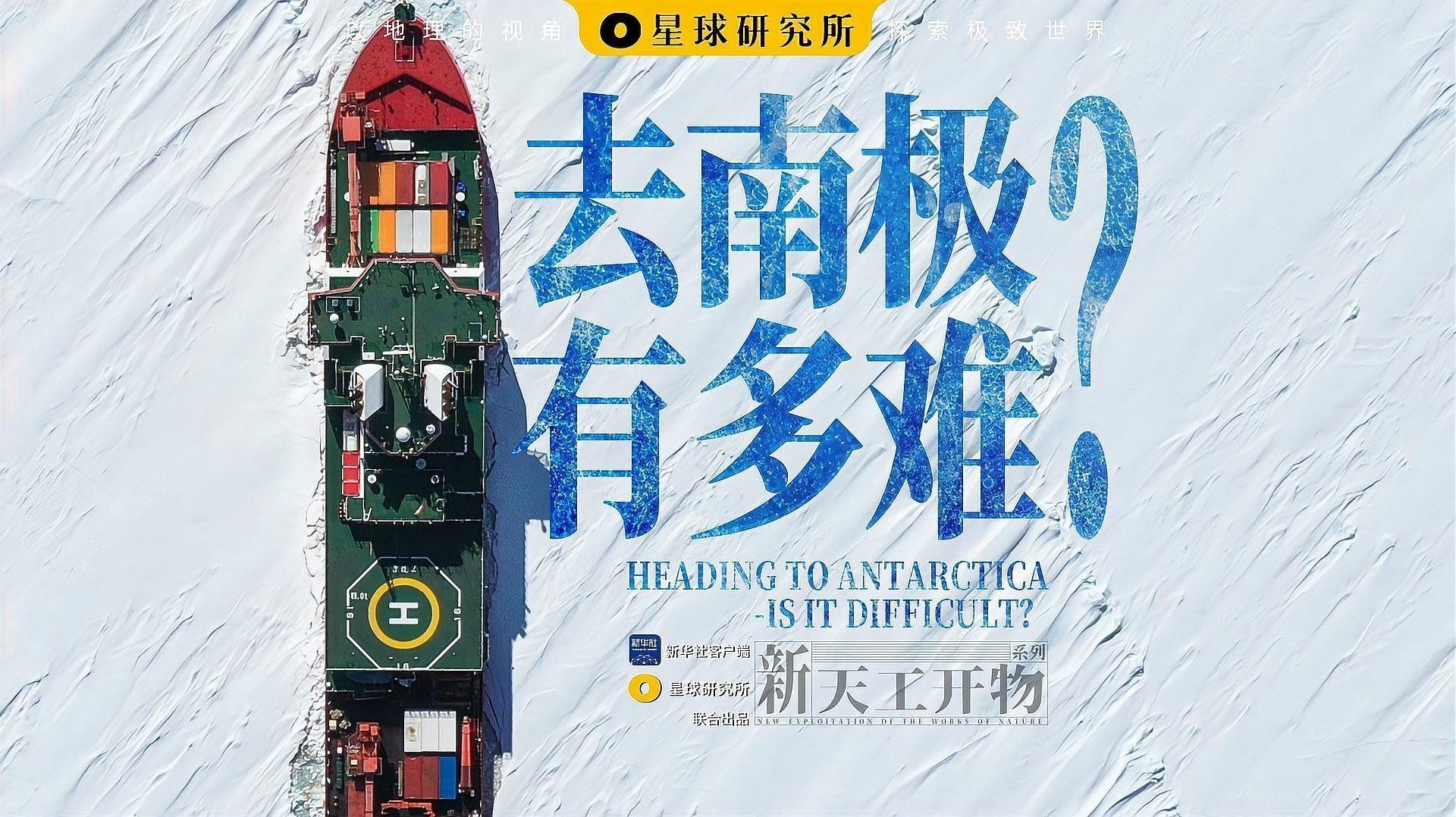銀龍魚顏色白的好還是青的好看