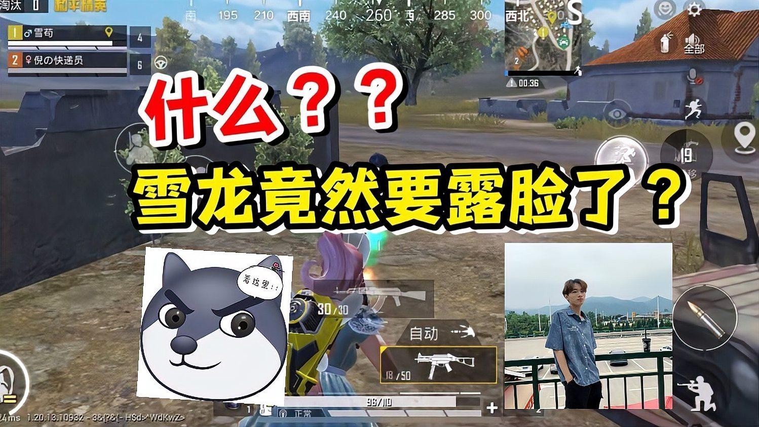 銀龍魚顏色白的好還是青的好看