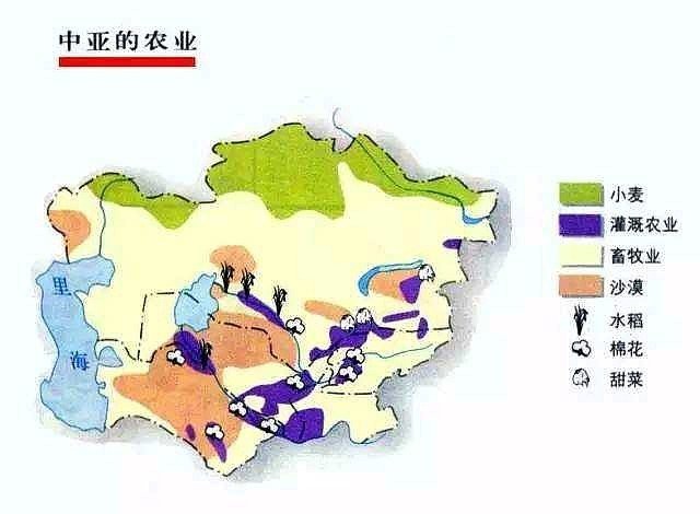 豐益營(yíng)銷對(duì)金龍魚有哪些影響？