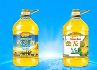 金龍魚最貴品種有哪些（探究金龍魚最貴品種）