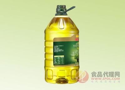 金龍魚最貴品種有哪些（探究金龍魚最貴品種）