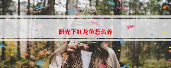 紅龍魚曬太陽光好不好【養殖紅龍魚曬太陽的注意事項】