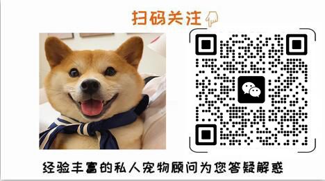 養銀龍魚有什么寓意和象征：養銀龍魚有什么寓意和象征，養銀龍魚的寓意和象征意義