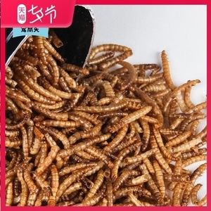 金龍魚尾巴爛掉可以使用黃粉嗎金龍魚尾巴爛掉可以用黃粉嗎：金龍魚尾巴爛掉可以使用黃粉嗎金龍魚尾巴爛掉可以使用黃粉嗎