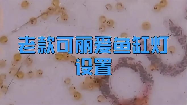 老款可麗愛魚缸燈設置