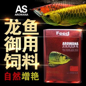 金龍魚活體品牌有哪些系列：金龍魚活體品牌主要包括哪些 金龍魚活體品牌有哪些系列：金龍魚活體品牌主要包括哪些 龍魚百科 第2張