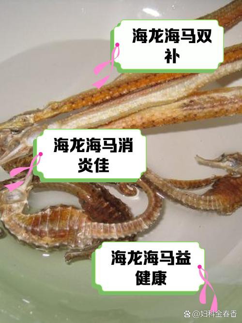 給我一張海龍和海馬的區(qū)別圖片