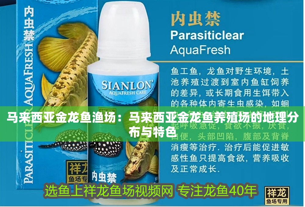 馬來西亞金龍魚漁場：馬來西亞金龍魚養殖場的地理分布與特色