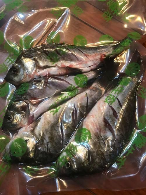 蘆花鯽魚圖片