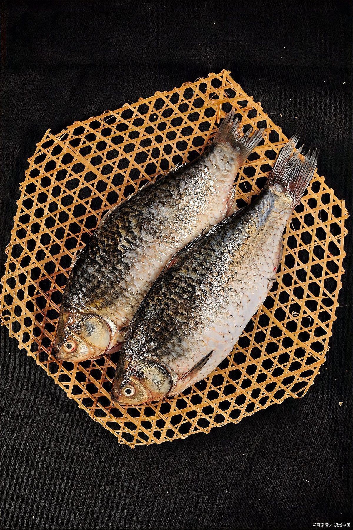 蘆花鯽魚圖片