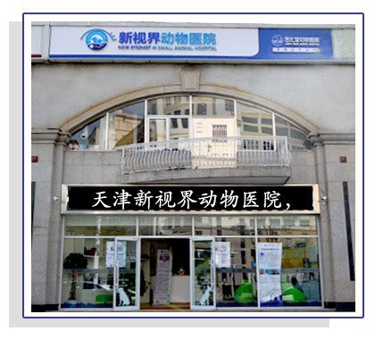 天津龍魚吊眼手術上門服務