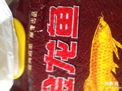 網上買金龍魚可靠嗎（在網上購買金龍魚時，選擇信譽好的賣家非常重要）