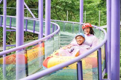 金龍魚生產地址(金龍魚生產地址是哪里)