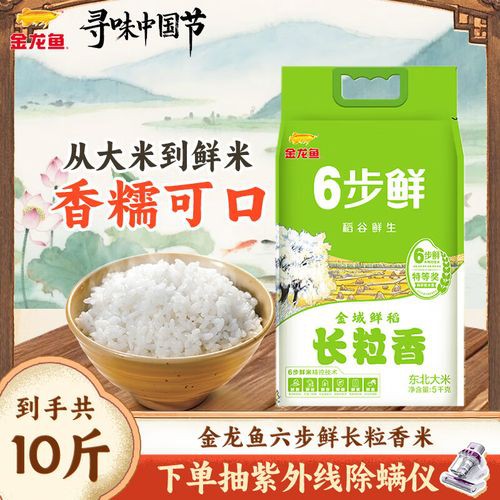 金龍魚稻谷