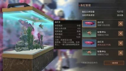 龍魚的魚缸多大容量：養龍魚需要考慮的因素有很多