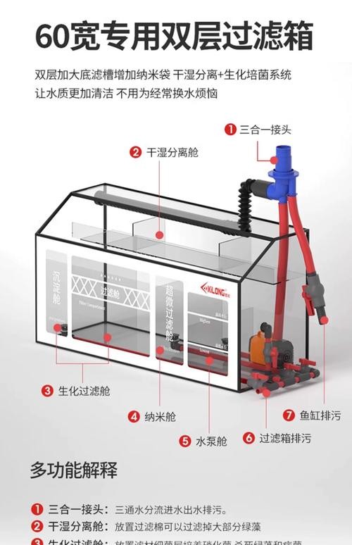 龍魚什么缸養(yǎng)最合適的