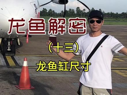 龍魚什么缸養(yǎng)最合適的