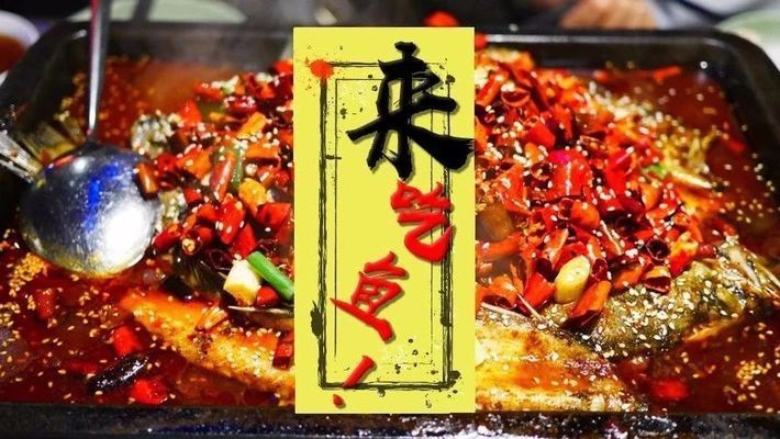 哈爾濱其他配魚，哈爾濱特色魚食做法哈爾濱觀賞魚市場價格實(shí)惠