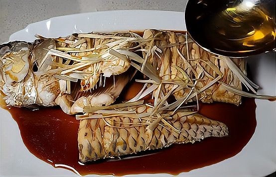 龍魚死亡后多久可以再養？